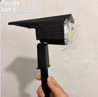 Solar Beam Desk Lamp